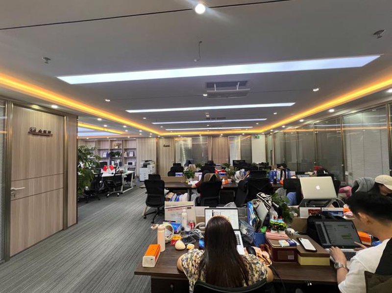 项目可行性分析：洞察市场先机